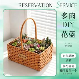 *【奥莱专场预热沙龙活动】多肉DIY花篮