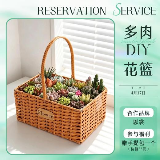*【奥莱专场预热沙龙活动】多肉DIY花篮 商品图0