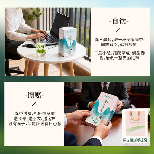 【2026明前新茶】金苔香恩施玉露 芽茶初玉雪芽48g尝鲜装 商品图6