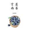 有机云南蓝莓 125g/盒【基地直发】产地：云南 商品缩略图0