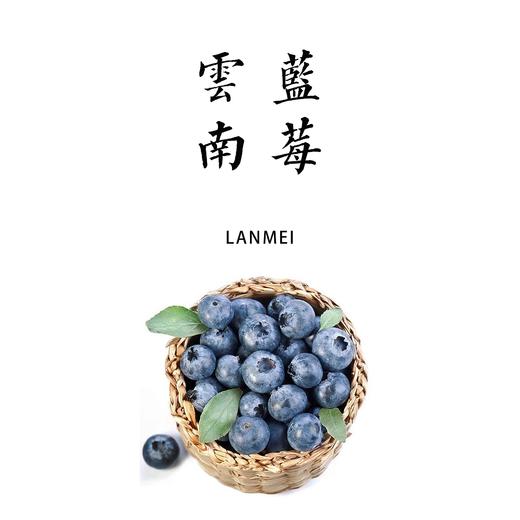 有机云南蓝莓 125g/盒【基地直发】产地：云南 商品图0