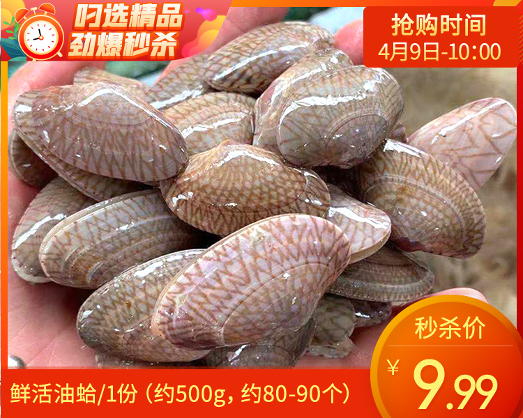 【叼鲜】鲜活油蛤/1份（约500g，约80-90个）