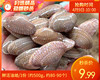 【叼鲜】鲜活油蛤/1份（约500g，约80-90个） 商品缩略图0