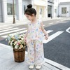 童洛萌女童套装夏季新款洋气儿童宝宝花边无袖背心时尚阔腿裤两件套90-150 商品缩略图2