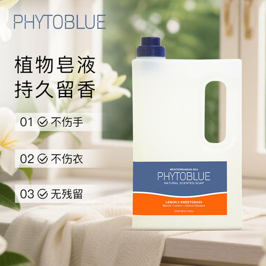 PHYTOBLUE植物兰天然皂液洗衣液手洗专用内衣贴身衣物温和不伤手 商品图0