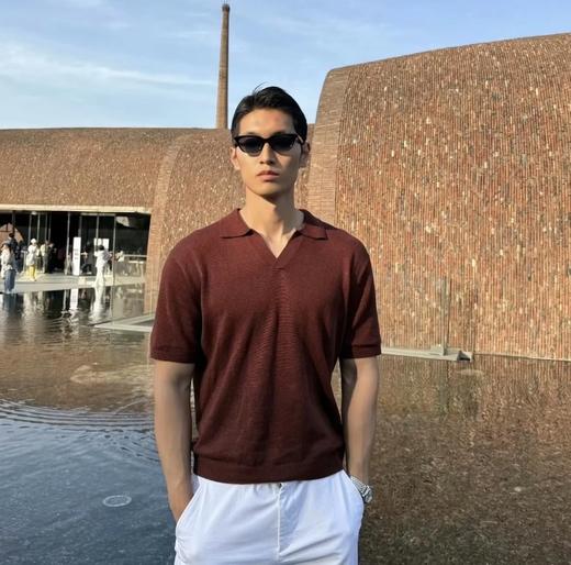 家属福利  重磅渠道   杰尼古巴领polo   桑蚕丝棉麻混纺   高端面料 商品图1