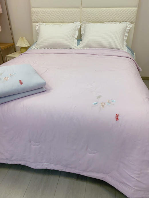 松植屋·蚕竹可水洗蚕丝空调被夏凉被 中式精美刺绣 可轻柔机洗不变形 商品图0