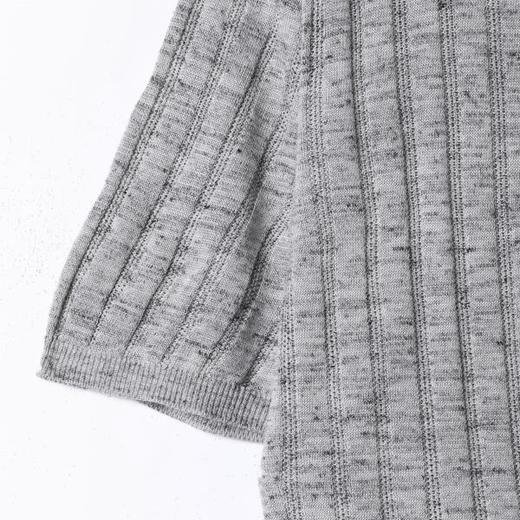 SDSA男装2026新款高贵轻奢慵懒风竖纹设计海鸥领短袖T恤百搭休闲 商品图2