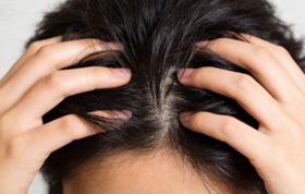 养肾护发食疗手册