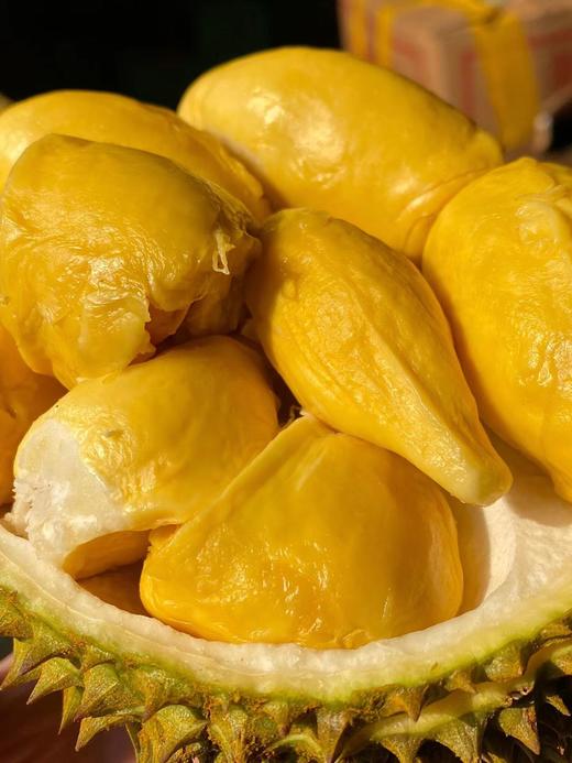 「榴莲忘返！」泰国托曼尼榴莲丨软糯香甜•最接近猫山的口感｜甲伦｜金枕 按果期上架 好饱满好甜 txa 商品图3