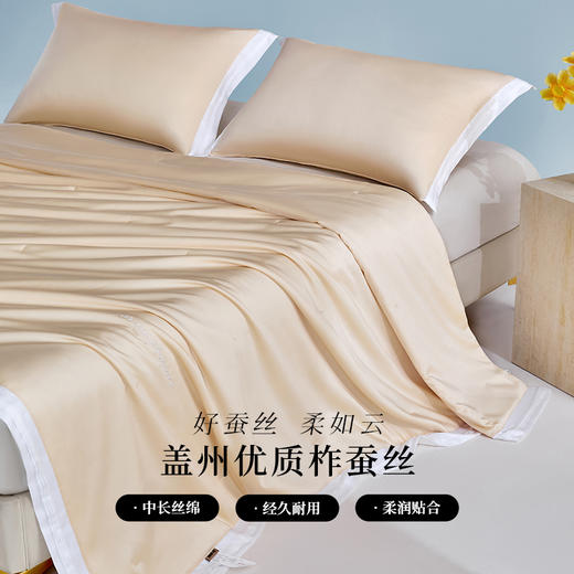 多喜爱 悦己花开蚕丝夏被系列【柞蚕丝填充】【60S天丝棉面料】【精美绣花】【A类标准】【可水洗】【手提包包装】 轻盈透气 柔润丝滑 亲肤凉爽  吸湿透气 紫鸢/蓝星/金葵 商品图1
