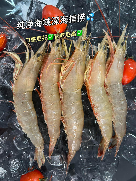 xm降价！！降价！！刚到货100%新鲜度码头直发货~~源自洁净海域的沙鲁虾，天生天养，肉质清甜爽脆，自带大海的鲜味 顺丰冷链活冻锁鲜 商品图0
