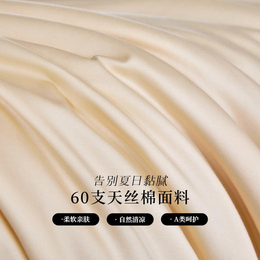 多喜爱 悦己花开蚕丝夏被系列【柞蚕丝填充】【60S天丝棉面料】【精美绣花】【A类标准】【可水洗】【手提包包装】 轻盈透气 柔润丝滑 亲肤凉爽  吸湿透气 紫鸢/蓝星/金葵 商品图3