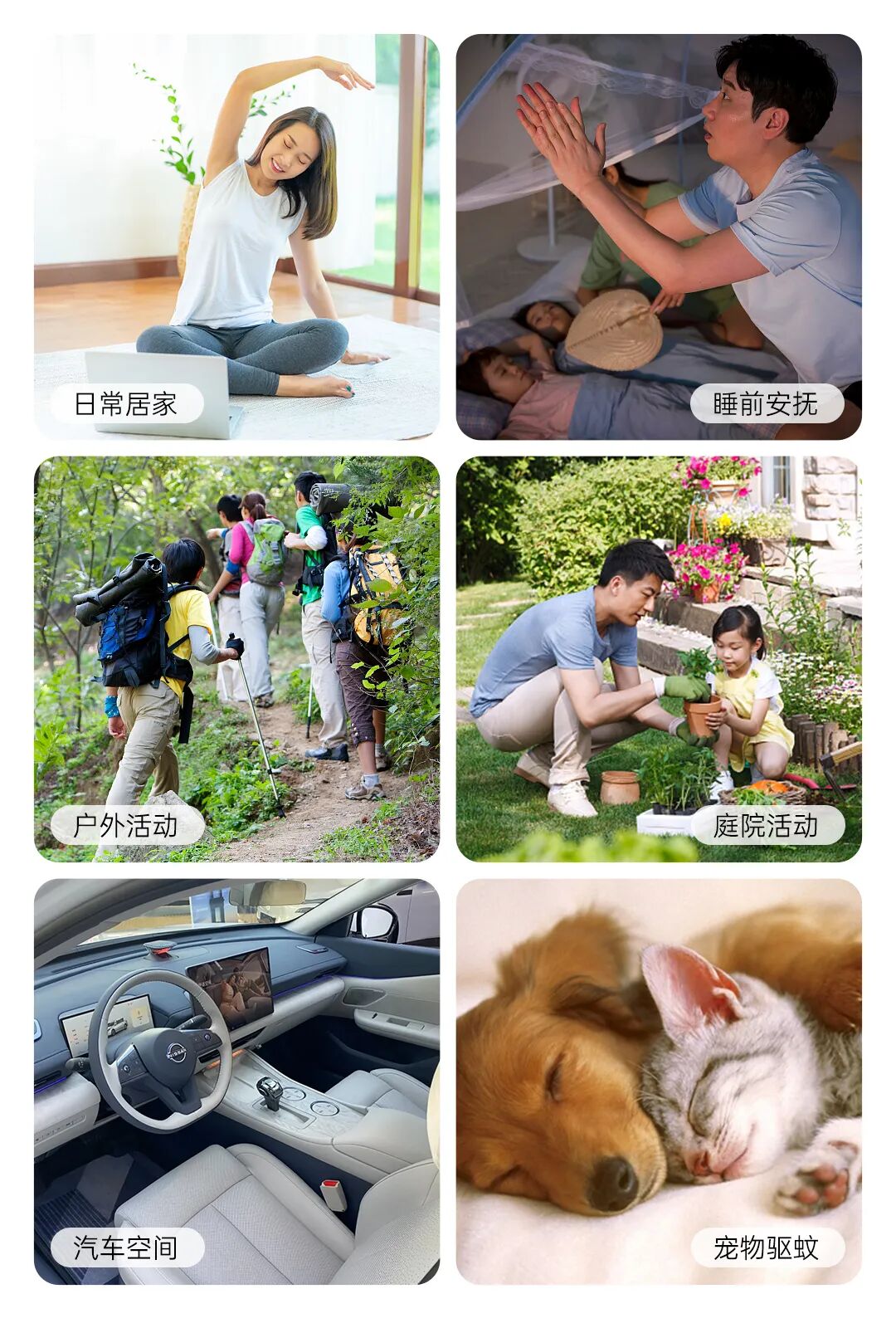 微信图片_20260401093359_3667_76.jpg
