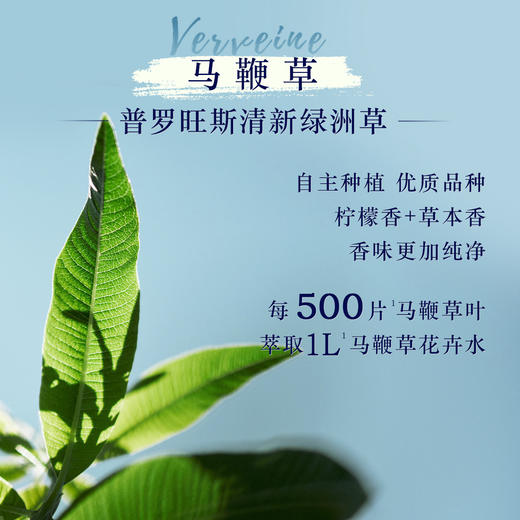 3253581766989 欧舒丹L'OCCITANE 欧舒丹果漾马鞭草沐浴露250ml（马鞭草） 商品图4