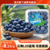 【分销】99元到手12盒约3斤，云南L25花香蓝莓！佳沃悦美添品牌，顺丰生鲜，品质保证，坏果包赔，花香脆甜 商品缩略图0