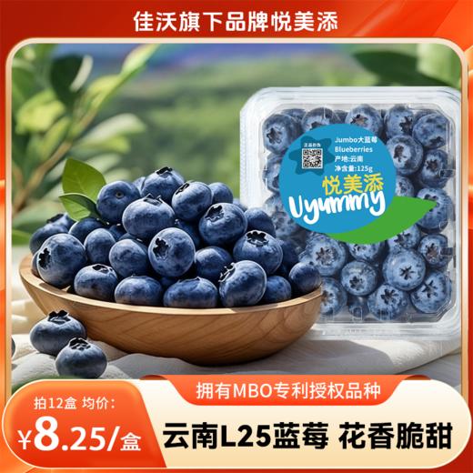 【分销】99元到手12盒约3斤，云南L25花香蓝莓！佳沃悦美添品牌，顺丰生鲜，品质保证，坏果包赔，花香脆甜 商品图0