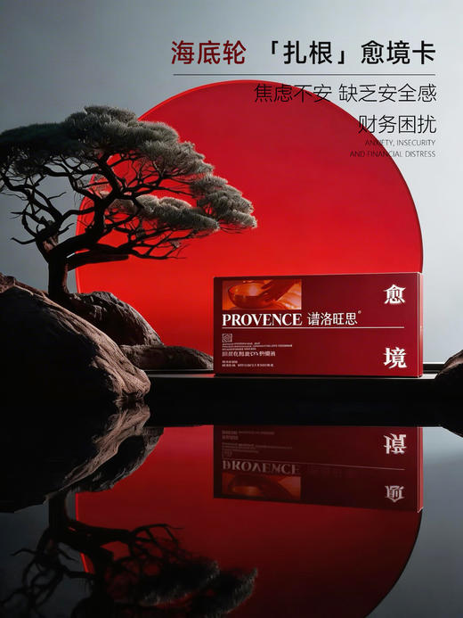 plws-海底轮spa舒缓油  精油 买十送一 商品图4