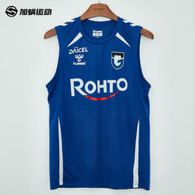 SFS HUMMEL 25/26大阪钢巴 皇家贝蒂斯 丹麦无袖训练服热身背心
