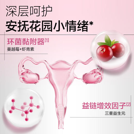 ⁵【蔓越莓益生元】粉剂 蔓越莓+虾青素+益生元 一盒7袋 每日博士（效期至2027-03-12） YY05-SA 商品图2