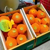 湖北宜昌秭归的伦晚橙 商品缩略图2