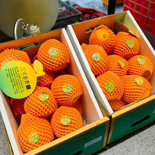 湖北宜昌秭归的伦晚橙 商品图2