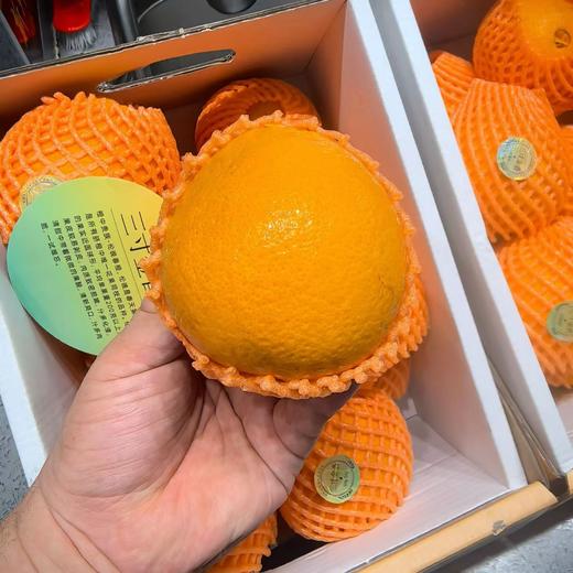 湖北宜昌秭归的伦晚橙 商品图0