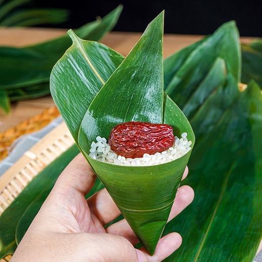 耐煮不破/新鲜大粽叶200片真空包装宽叶家用大号新叶批发包粽子叶 商品图3