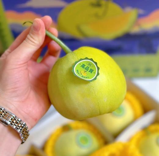 【地标好货】山东马连庄小甜瓜原箱顺丰包邮*2.8kg 商品图1