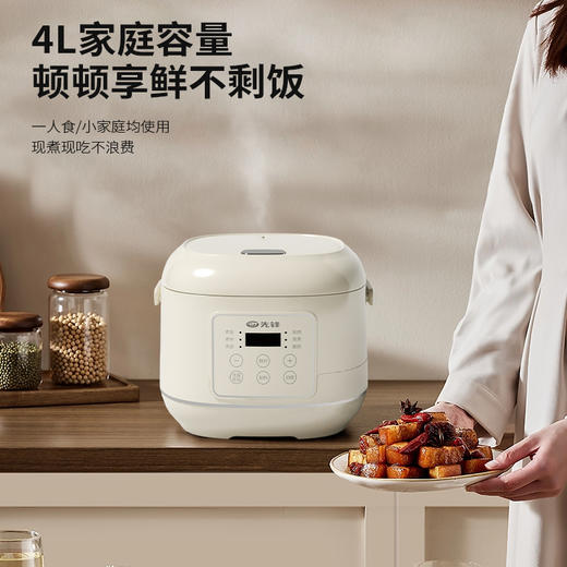 【自营】先锋FD407-2404A智能电饭煲4L电饭锅预约微压柴火饭快煮不粘锅 商品图1
