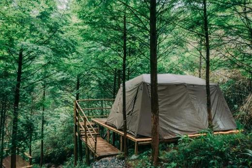 5.2-5.3/5.3-5.4【崇州琉璃坝·森林秘境】2天1夜亲子露营：昆虫旅馆、夜观萤火虫、古沙陀国秘境徒步、烤叫花鸡、植物化石 商品图6