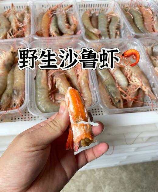 纯野生沙鲁虾🦐爽脆清甜口感，虾青素满满！部分还能吃到虾膏 商品图0