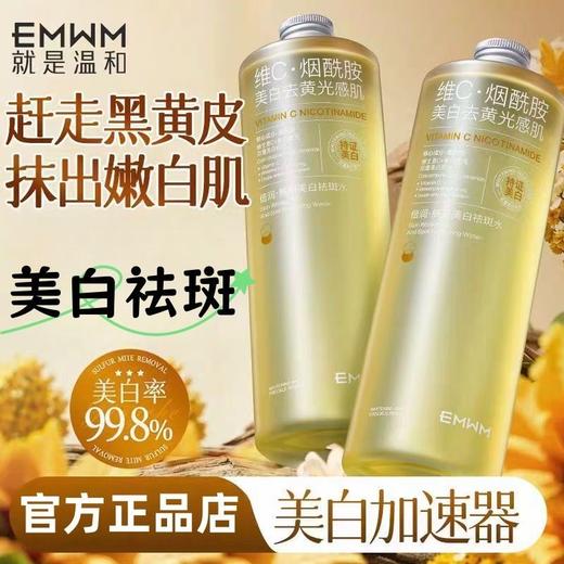 EMWM肤研美白祛斑水500ml 商品图1