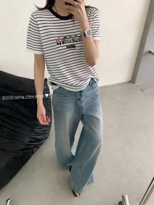 DYJ2602617绢丝小马刺绣条纹T 商品图1