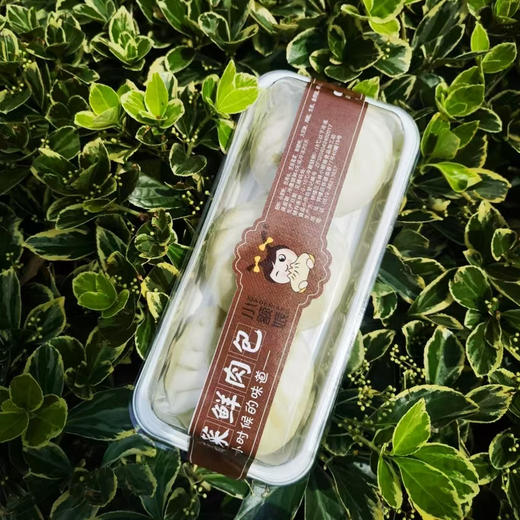 高菜肉包 商品图0