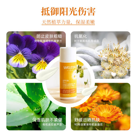 WELEDA维蕾德雪绒花儿童成人防晒乳 高级紫外线防护隔离霜 商品图6