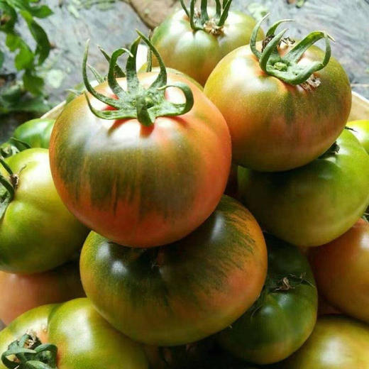 铁皮草莓番茄🍅
底部呈绿色，果面青红相间，肉厚味甜，肉质脆爽，酸度和糖度都非常高，口味非常出众。。。小时候哒味道！ 商品图7