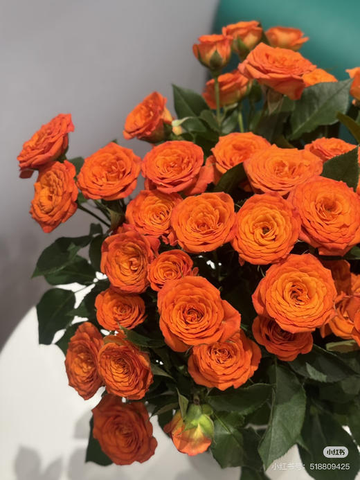 【2026.4.10】特价：1扎10枝多头橙芭比19.9（现货 下单即可到店自提） 商品图1