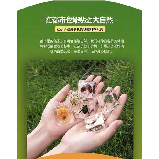 小灰蝶标本-纪念日百货门店同款171093192 商品图2