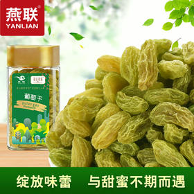 燕联牌葡萄干208g