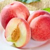 正宗现摘春雪水蜜桃5斤整箱新鲜应季孕妇水果10批发包邮3斤毛桃子 商品缩略图3