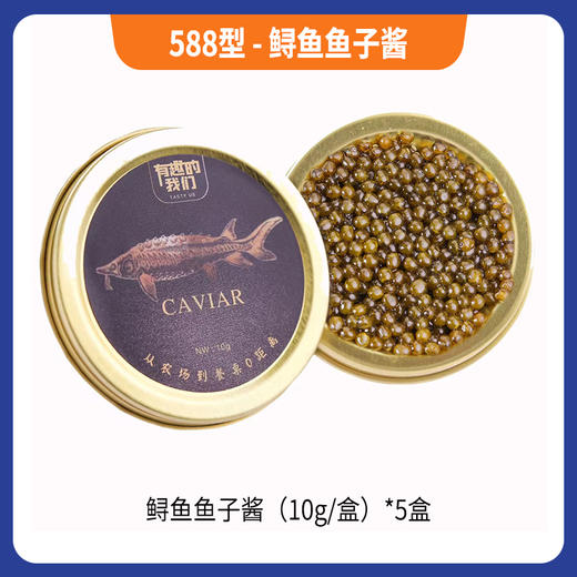 588型-鲟鱼鱼子酱 商品图0