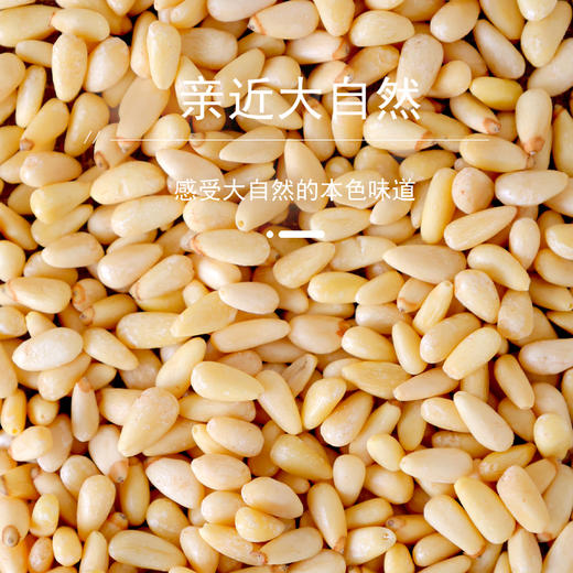 花家盛世 0添加松子仁180g圆罐装新鲜健康美味 HJSSJG033
 商品图1