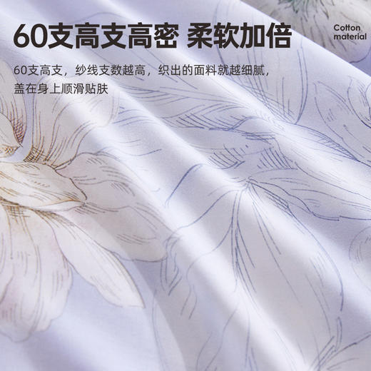 60支全棉贡缎四件套(兰溪) 商品图2