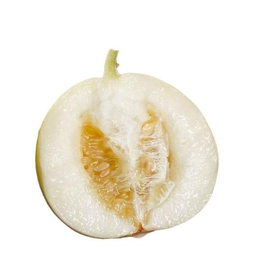 正宗山东头茬小蜜蜂甜瓜5斤新鲜水果香瓜10批发包邮3斤星甜20蜜罐 商品图4