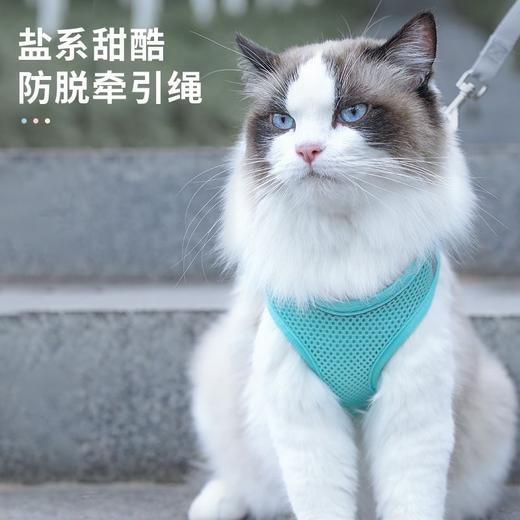 【360°环绕分压胸背、环保材质强力锁扣】猫咪牵引绳可调节溜猫牵引绳猫绳子猫牵引防挣脱外出专用猫绳背带.TA 商品图2