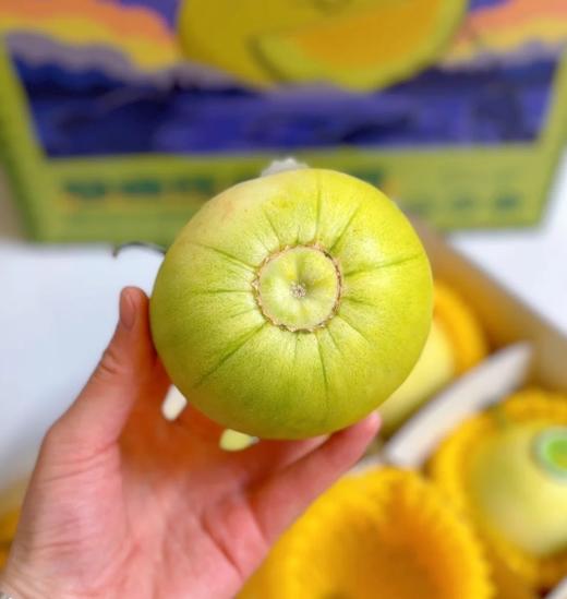 【地标好货】山东马连庄小甜瓜原箱顺丰包邮*2.8kg 商品图2