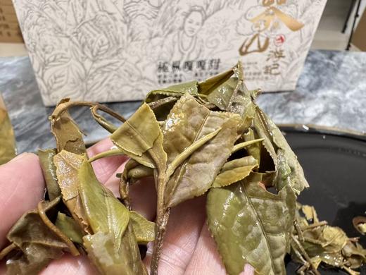 2025春  架梯采 [极枞·嘎嘎甜]  荒野寿眉  树龄50-60年  250克起 商品图7