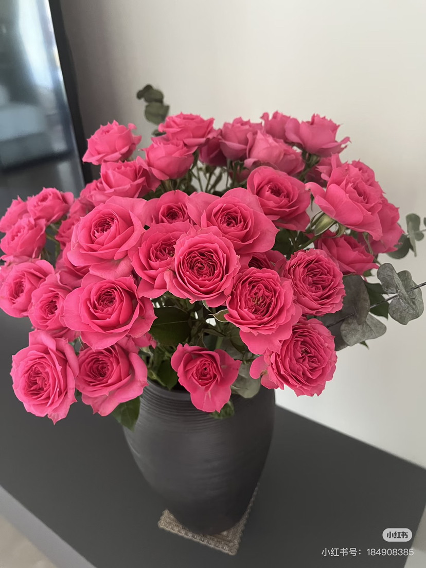 【2026.4.10】特价：5枝多头玫苏菲宝贝19.9（现货 下单即可到店自提）