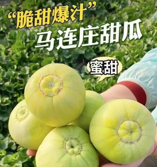 【地标好货】山东马连庄小甜瓜原箱顺丰包邮*2.8kg 商品图6